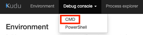 Debug consoleをクリックしてCMDを選択