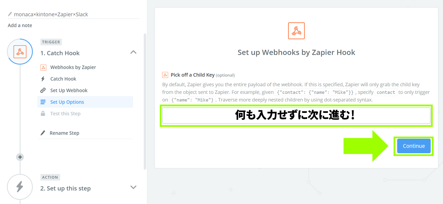 「Set Up Options」で「Continue」をクリックする画面