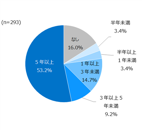 プログラミング経験歴